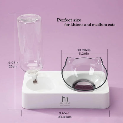 Tilted Raised Cat Food Bowl and Gravity Water Bottle, Elevated Cat Dish with Non-Slip Feeding Mat for Cats Kitten