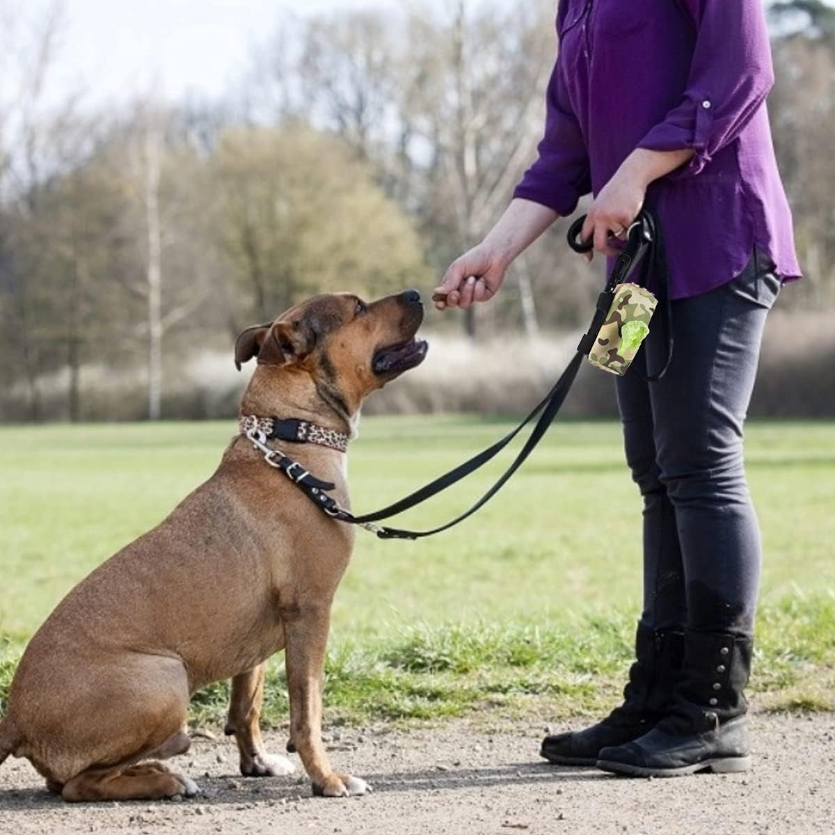 Poop Bag Holder 3 Pack - Dog Poop Bag Dispenser for Leash - Dog Waste Bag Holder Leash Attachment Protable,2 Lock Zipper,Large Capacity,600D Durable Fabric,Doggy Poop Bags Holder,Camo Pink Blue Green
