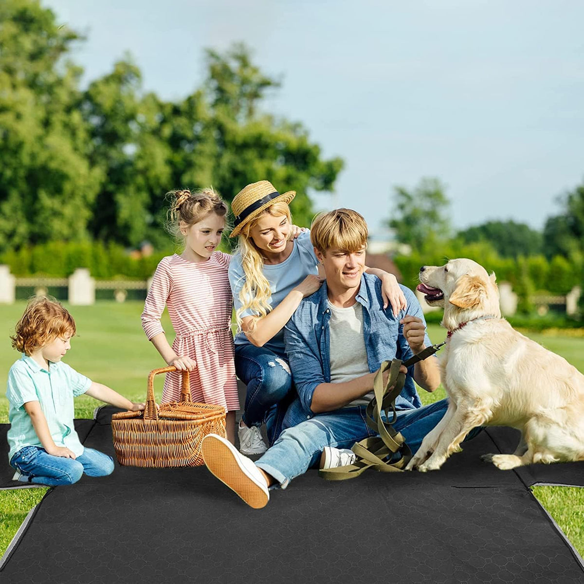 Dog Car Seat Cover for Back Seat, Waterproof Dog Hammock for Car