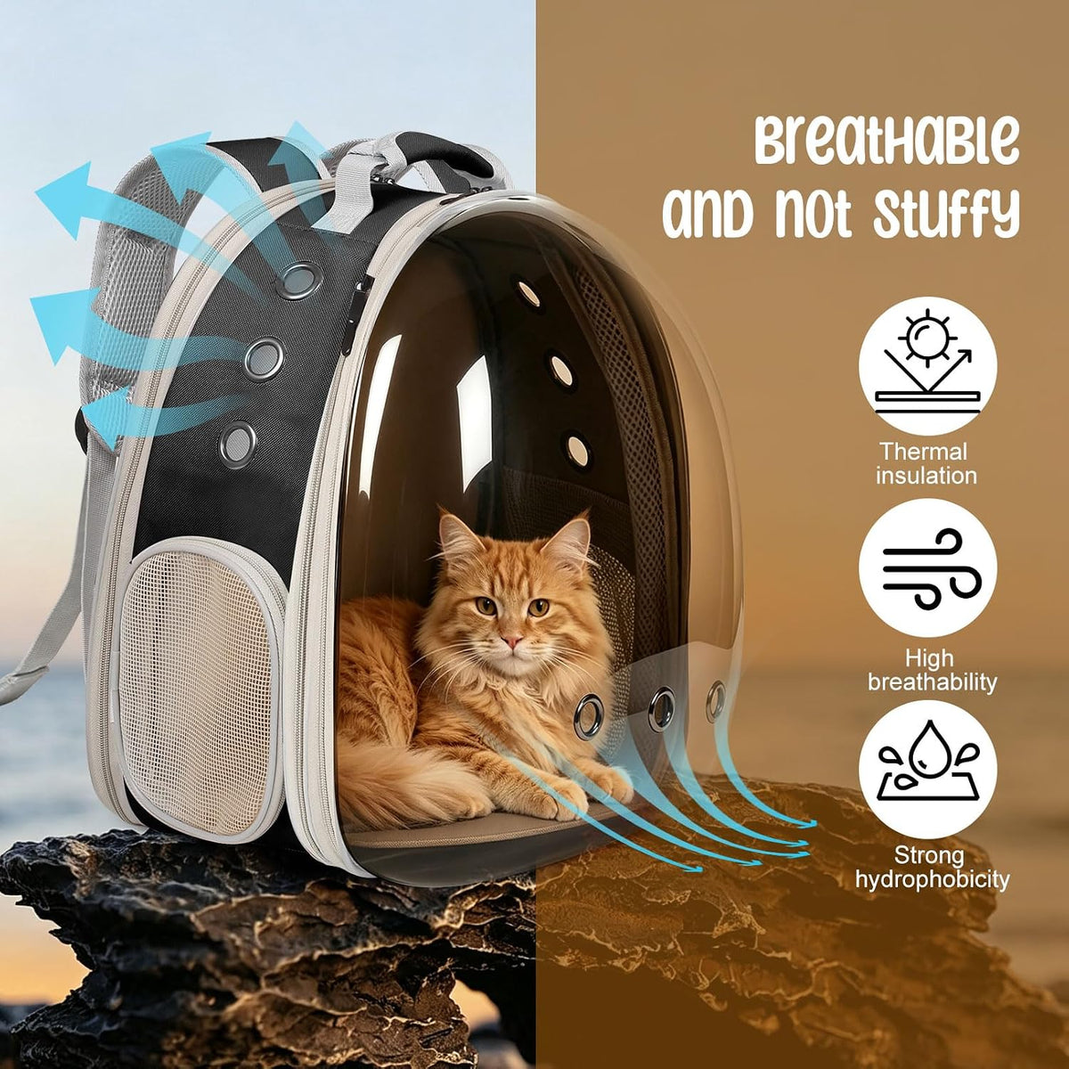 Dual Expandable Polarized Cat Backpack Carrier